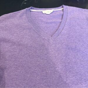 GAP Men's Lavender V-Neck Sweater